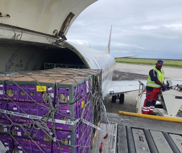 Cargo being moved out of a plane